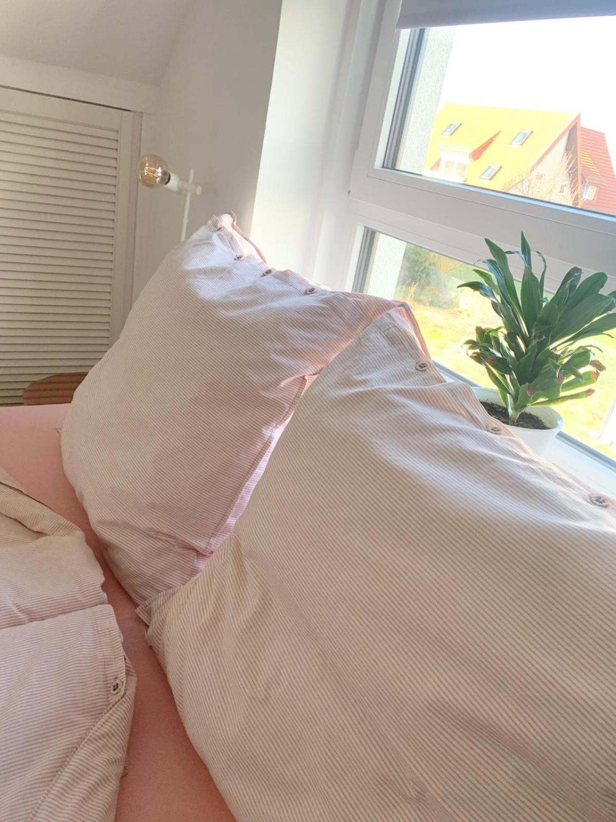 Casa Diego, Kleines Gemuetliches Haus Mit Garten ビーレフェルト エクステリア 写真